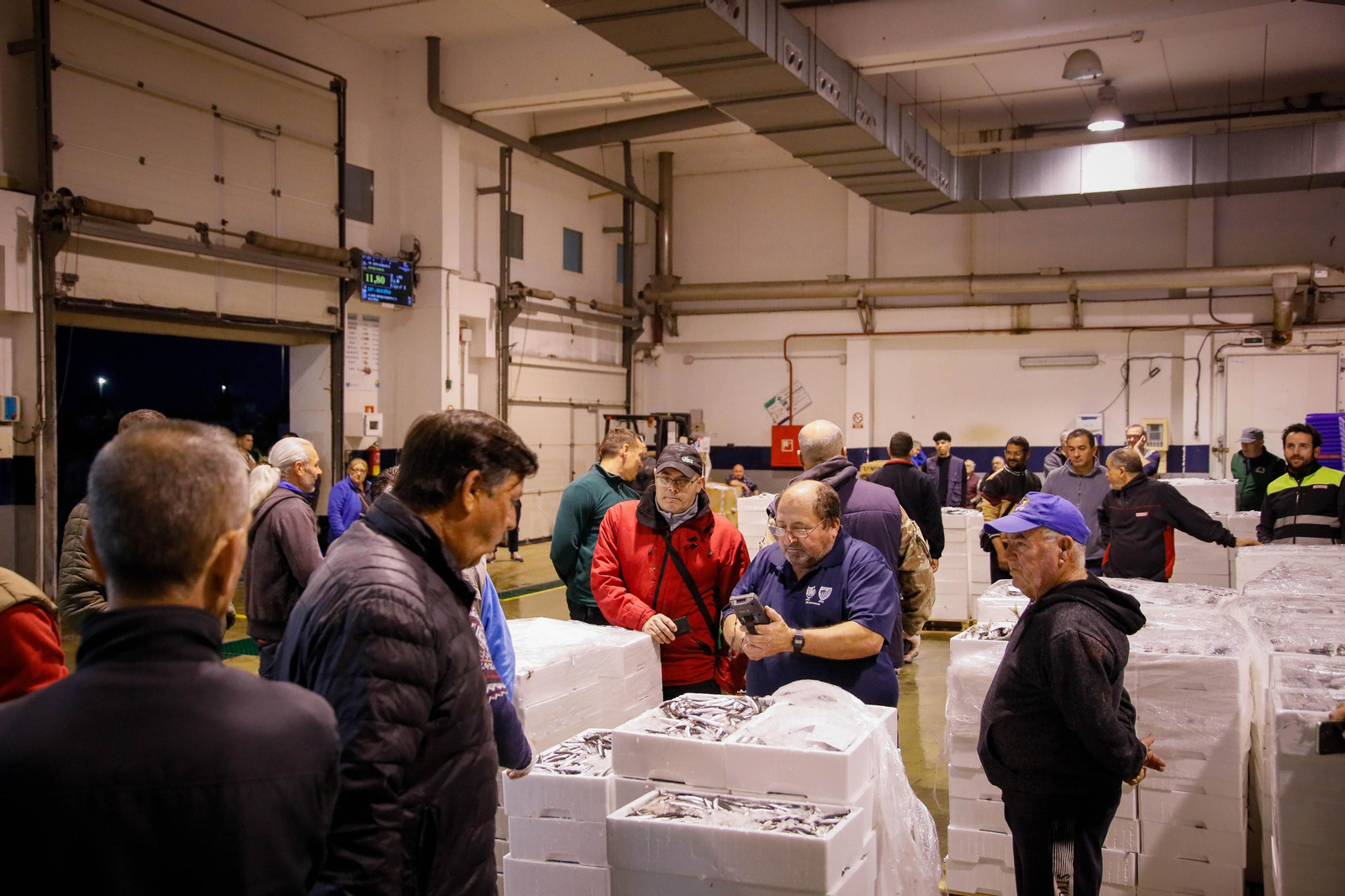 Te contamos en imágenes como ha sido la descarga de las traiñas en la lonja de Almería