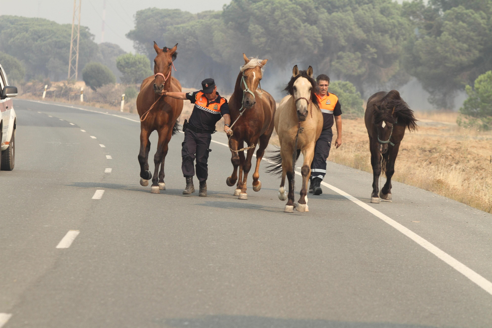 Las imágenes del incendio en Moguer y Mazagón
