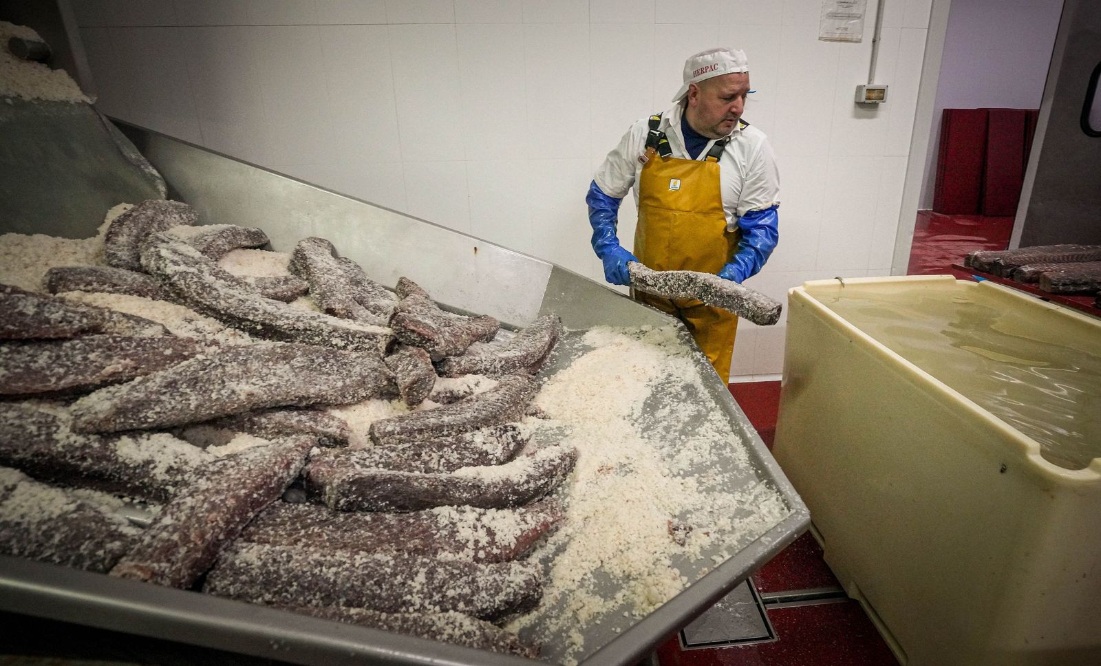 Imágenes de una tradición viva: Herpac por dentro