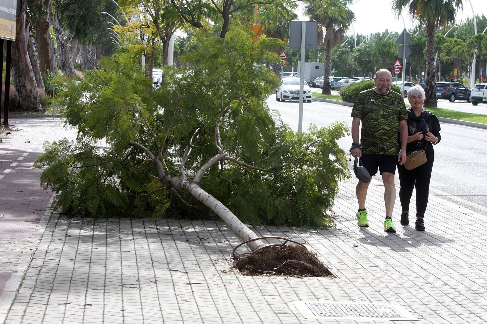 Imágenes del domingo 29 de octubre en Huelva