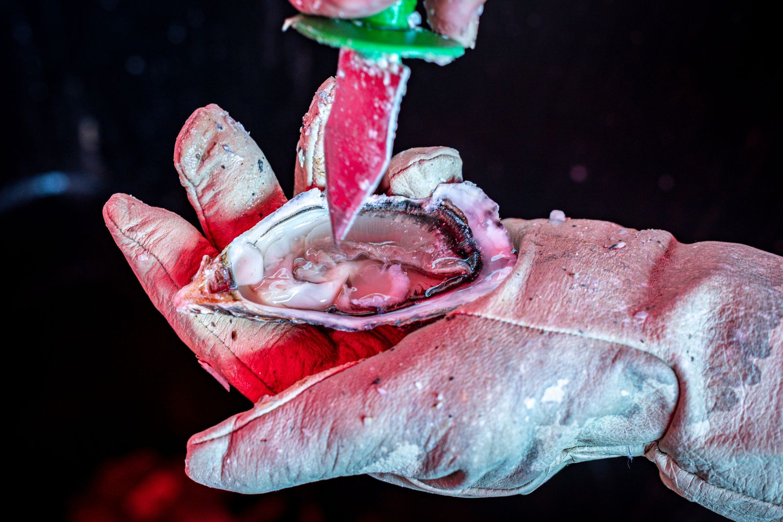 Búscate entre las mejores imágenes que ha dejado la Ostionada Popular