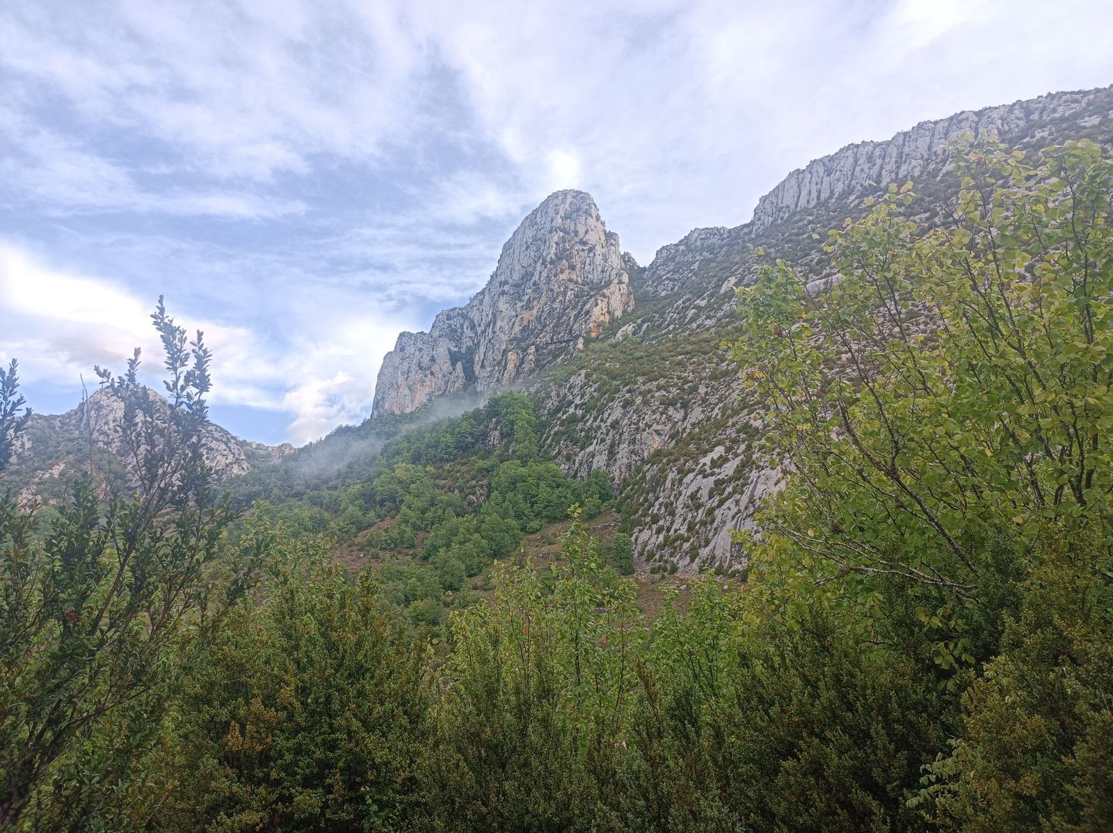 Bajando desde el Bosque de Pegá.
