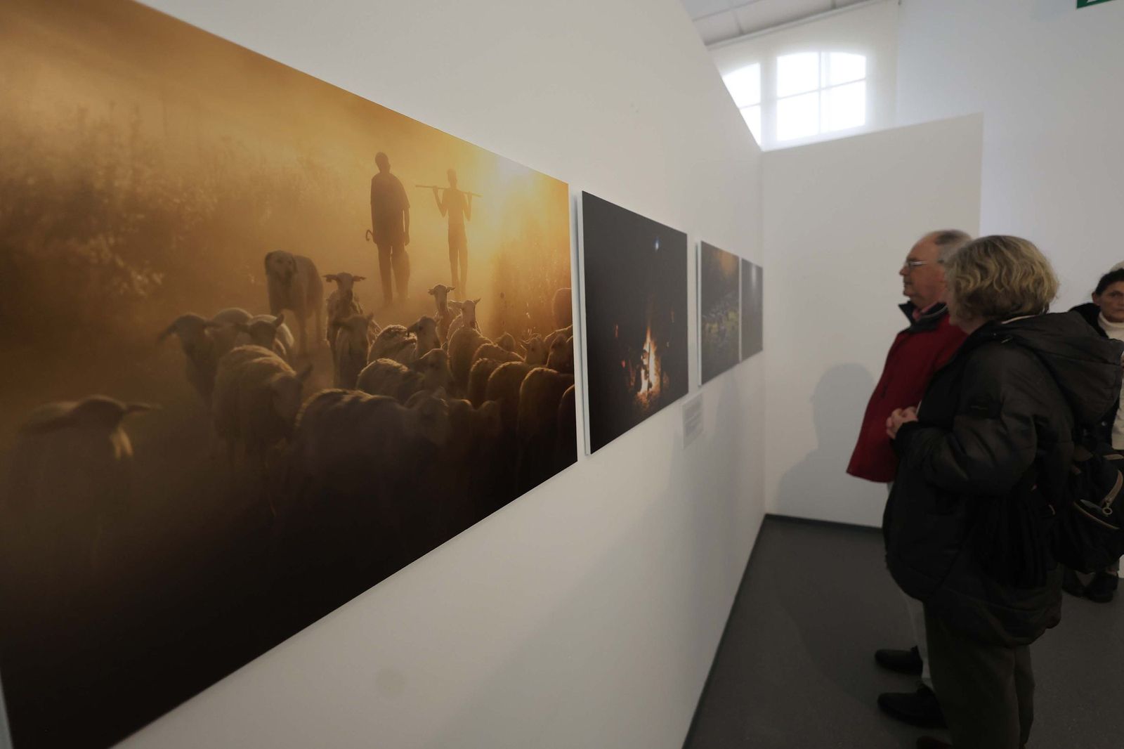 Fotos de la exposición 'Yerba, el corazón verde de la transhumancia' de Katy Muñoz