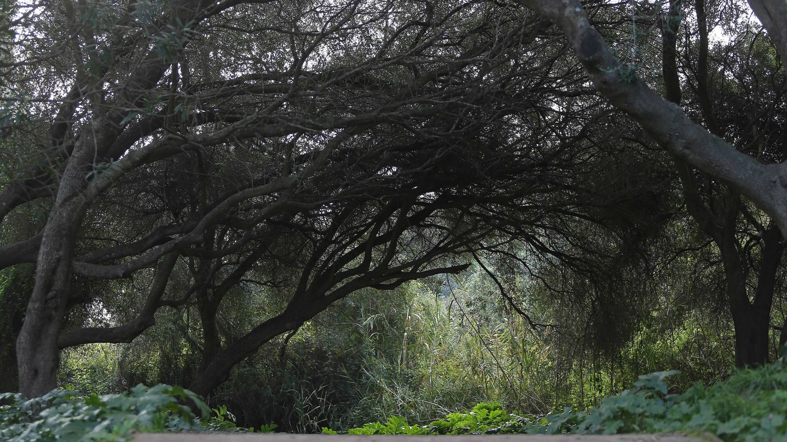 Las mejores fotos del parque fluvial del Río Pícaro