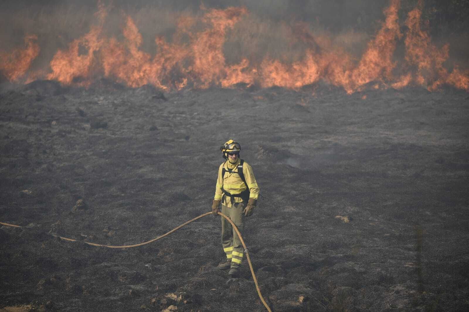 Imágenes del incendio forestal de Bonares