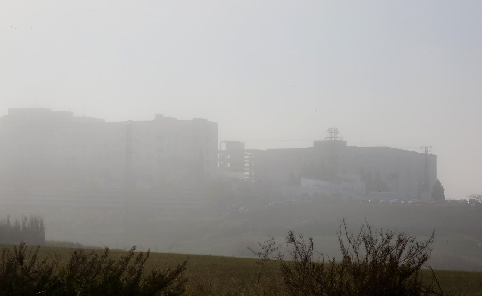 Imágenes de Jerez bajo la niebla