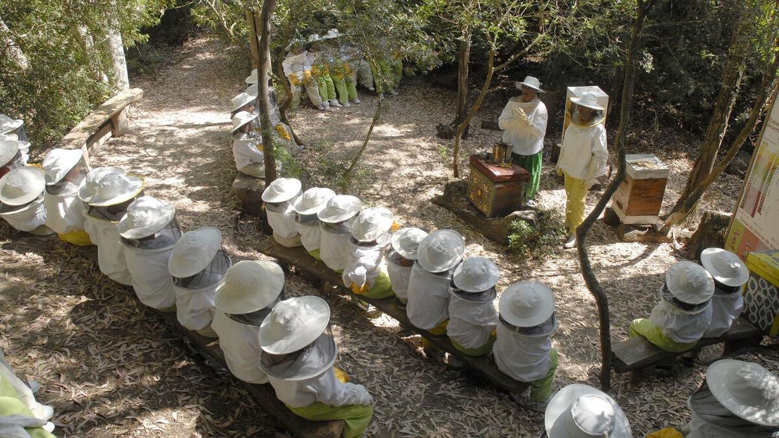 Actividad de apicultores durante una visita al Museo de la Miel de Jerez