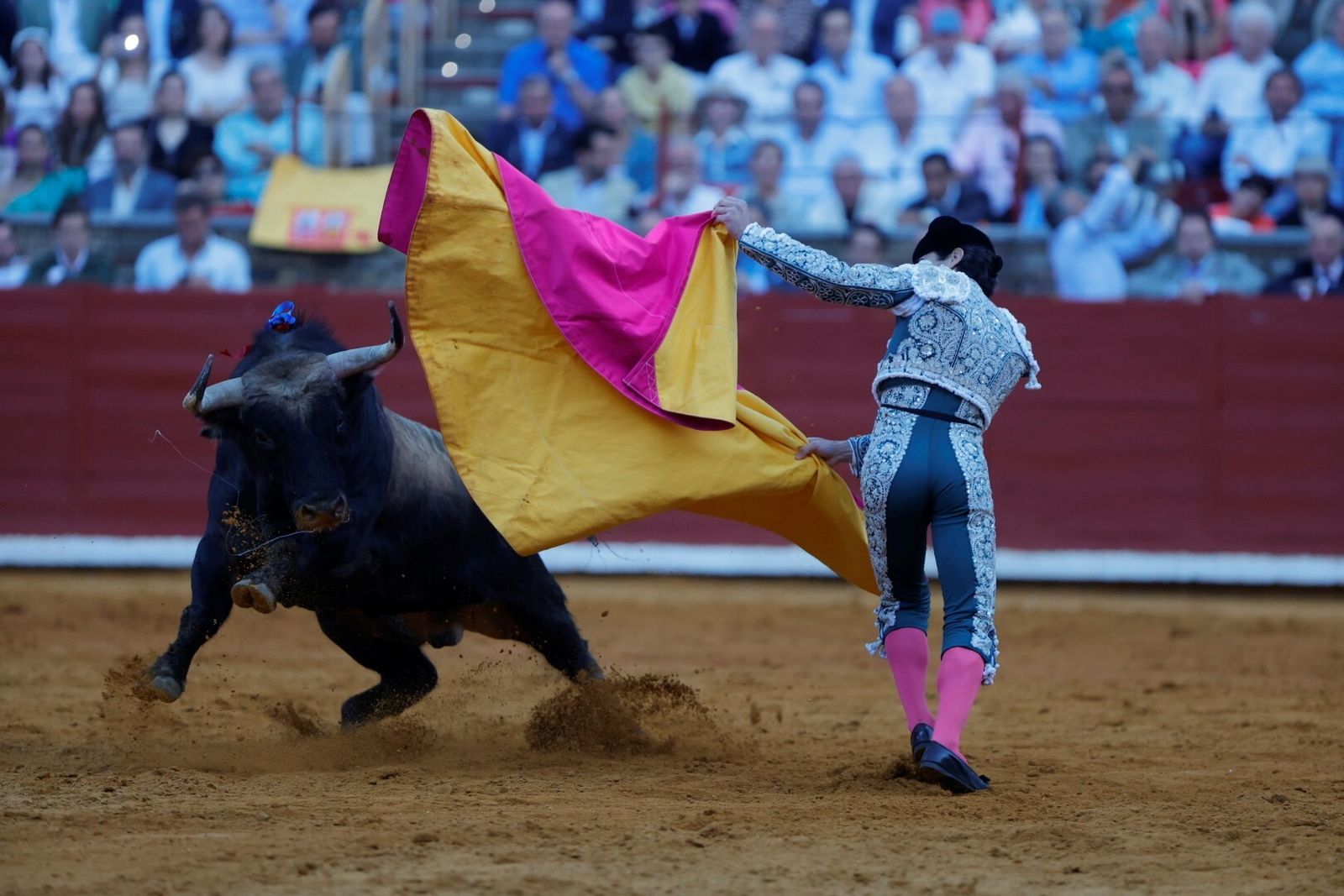 Las mejores fotos de la corrida de Morante, Ortega y Roca Rey en la Feria Taurina de Córdoba