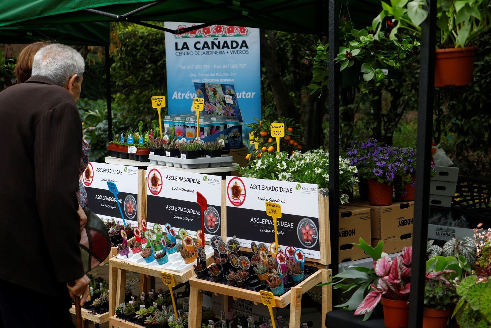 Así es la III Feria de las Orquídeas de Córdoba, en fotografías
