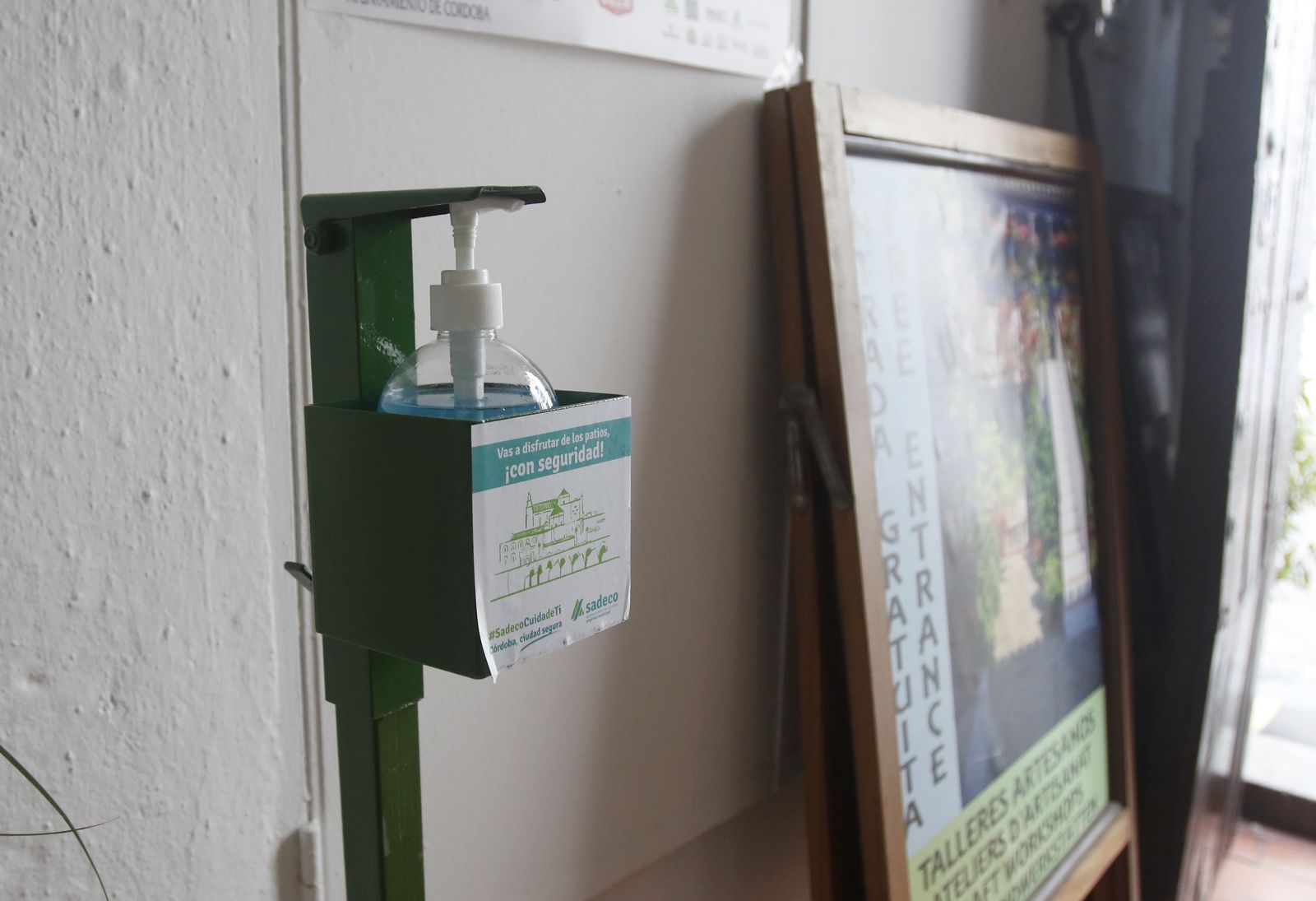 Las fotografías de los Patios de Córdoba en otoño