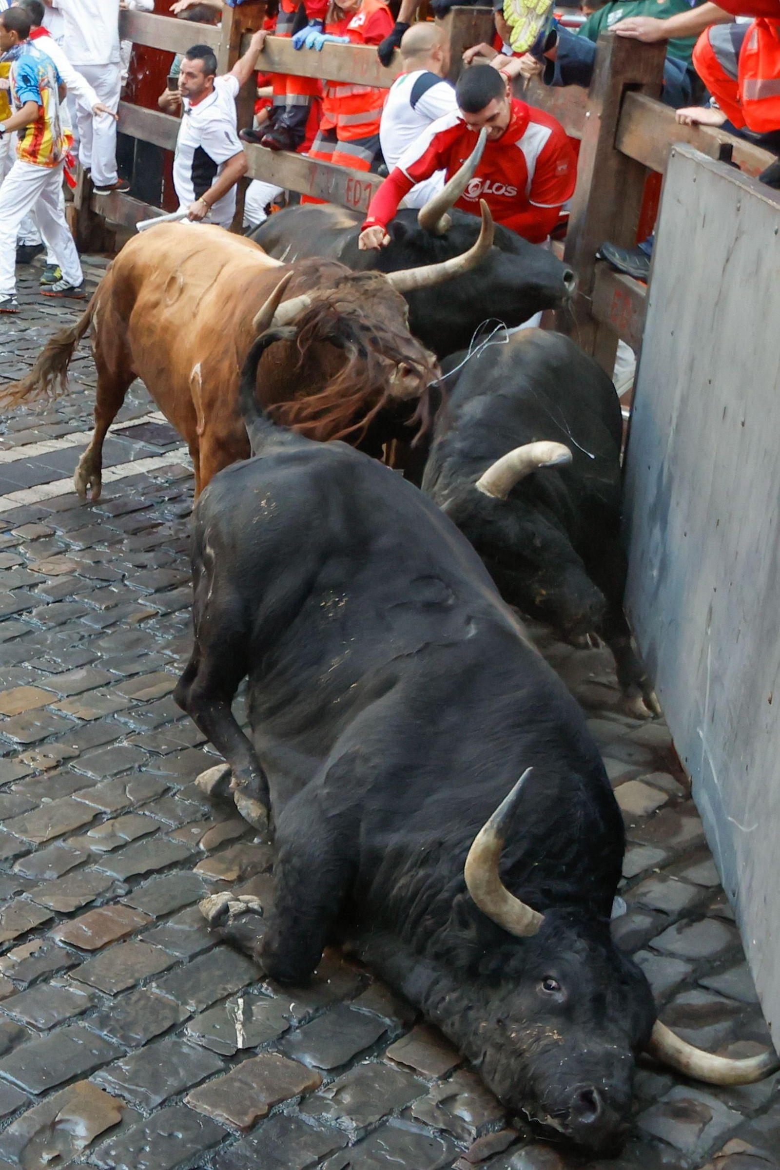 La bravura de Tarifa se hace notar en Pamplona: tres heridos en un encierro con toros de La Palmosilla