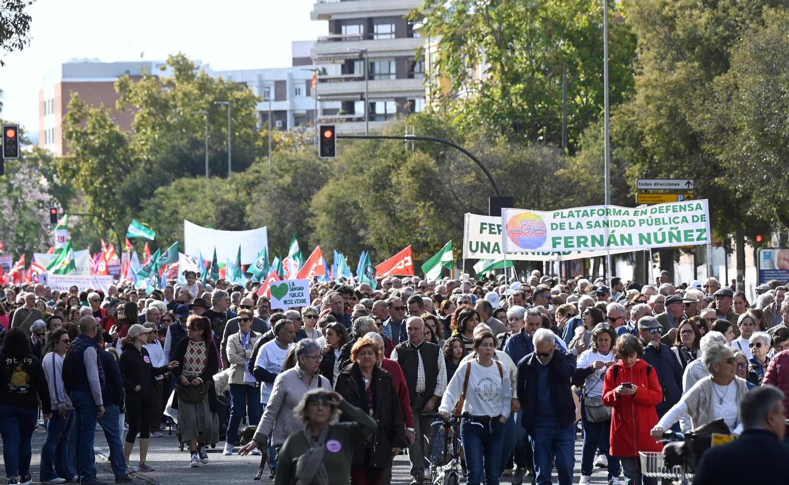 La manifestación en defensa de la sanidad pública en Córdoba