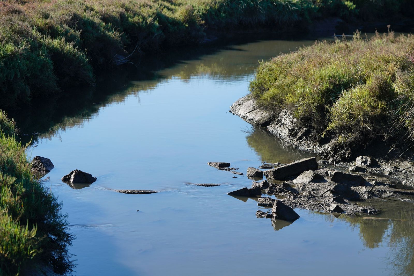 Fotos de la contaminación en el paraje natural marismas del Río Palmones