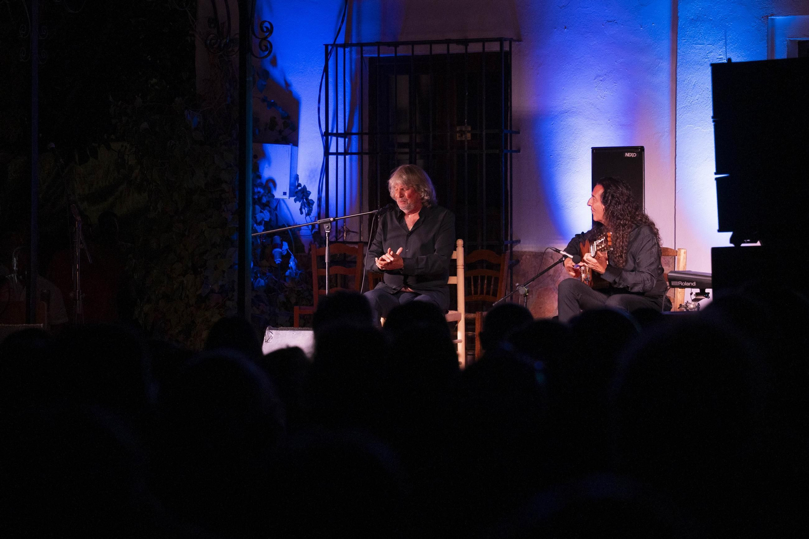 Las mejores imágenes del Festival de Flamenco en Fondón