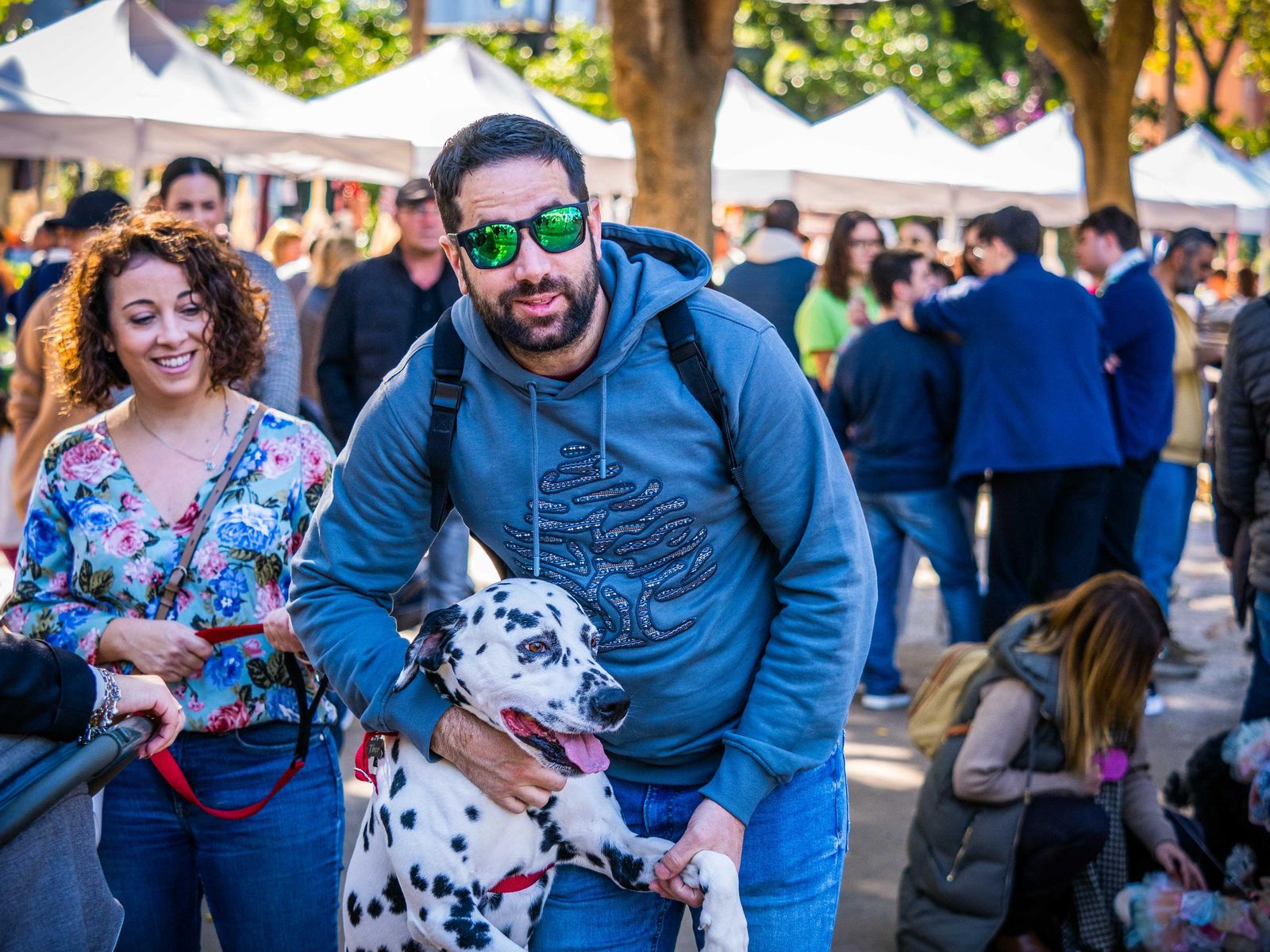 Las imágenes de San Antón 2025 en San Fernando