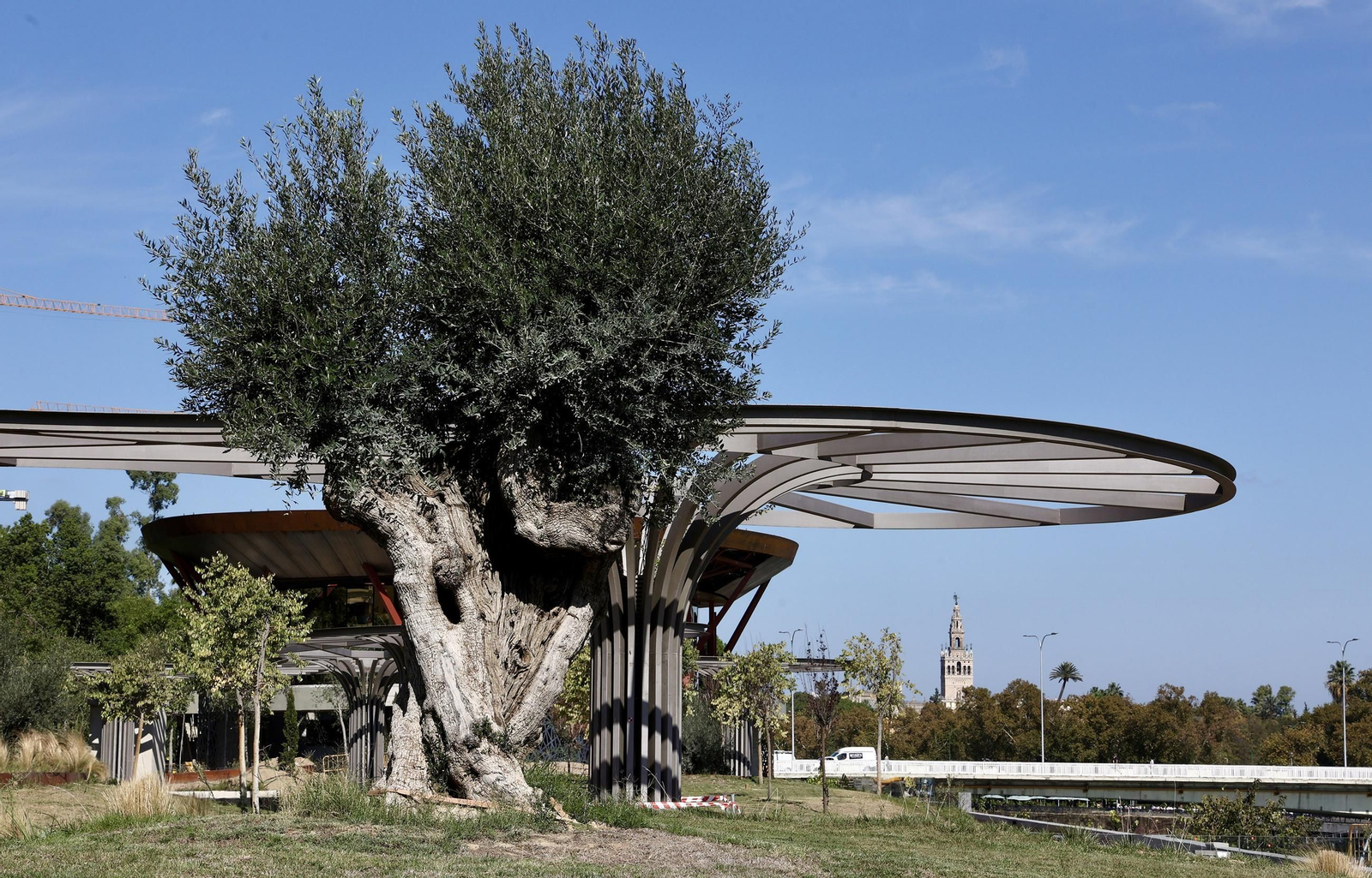 Jardín de Las Cigarreras