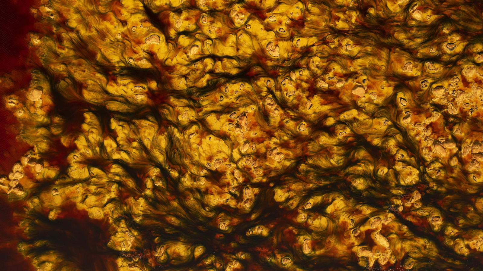 Día Mundial de Agua 2022