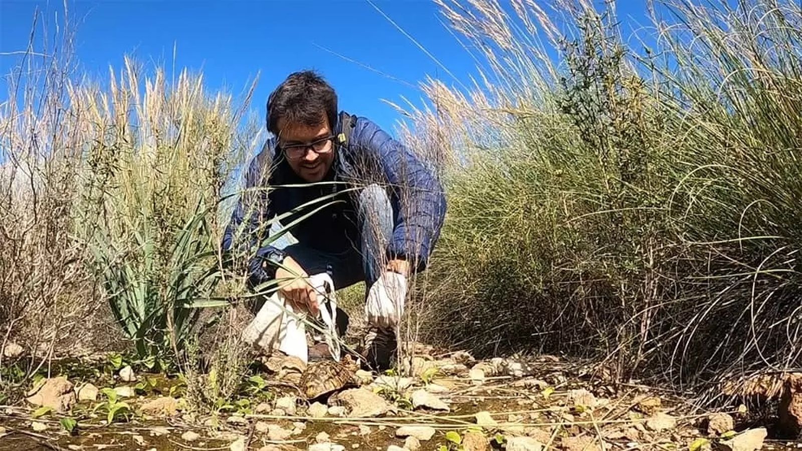 Se trata de ver cuantas tortugas son capaces los voluntarios/as de encontrar siguiendo un transecto previamente establecido.