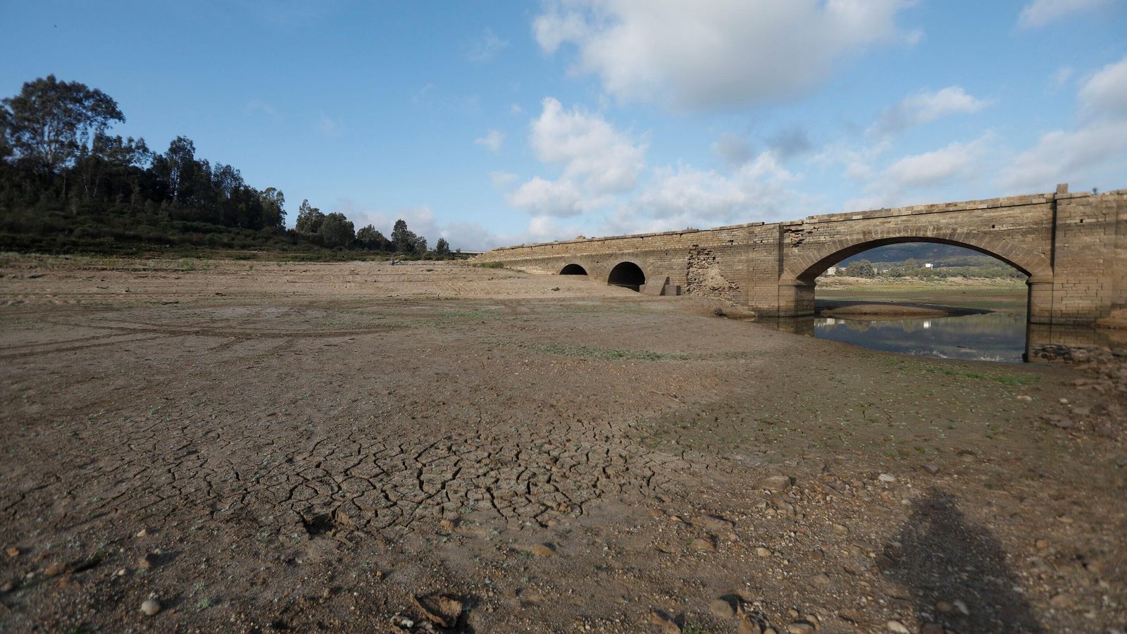 El embalse de Charco Redondo, en Los Barrios, en los últimos días de 2023. El embalse de Charco Redondo, en Los Barrios, en los últimos días de 2023.