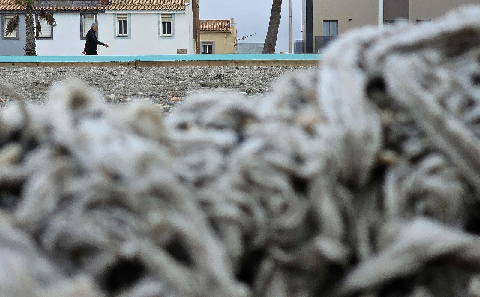 Las toallitas acumuladas en la playa de Levante de La Línea, en imágenes