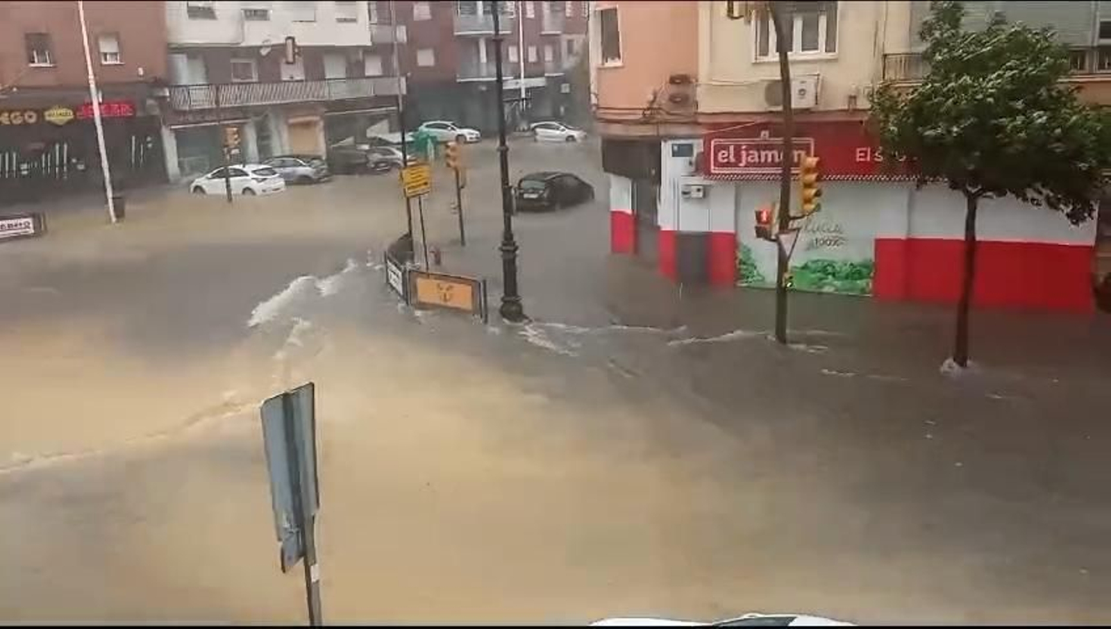 Riadas en la avenida Alcalde Federico Molina.