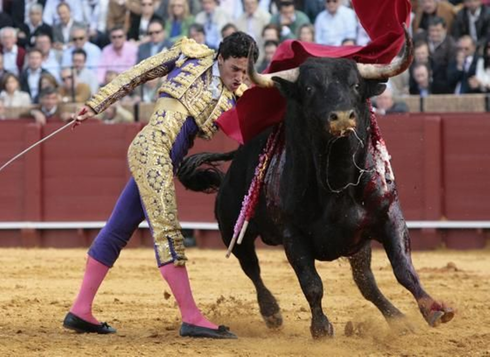 Un pase de Oliva Soto donde se muestra la bravura del toro.

Foto: Juan Carlos Muñoz