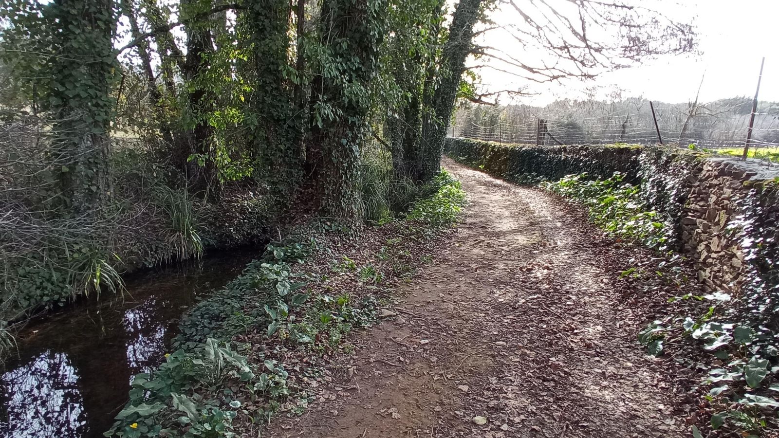 Precioso camino con el murmullo del agua