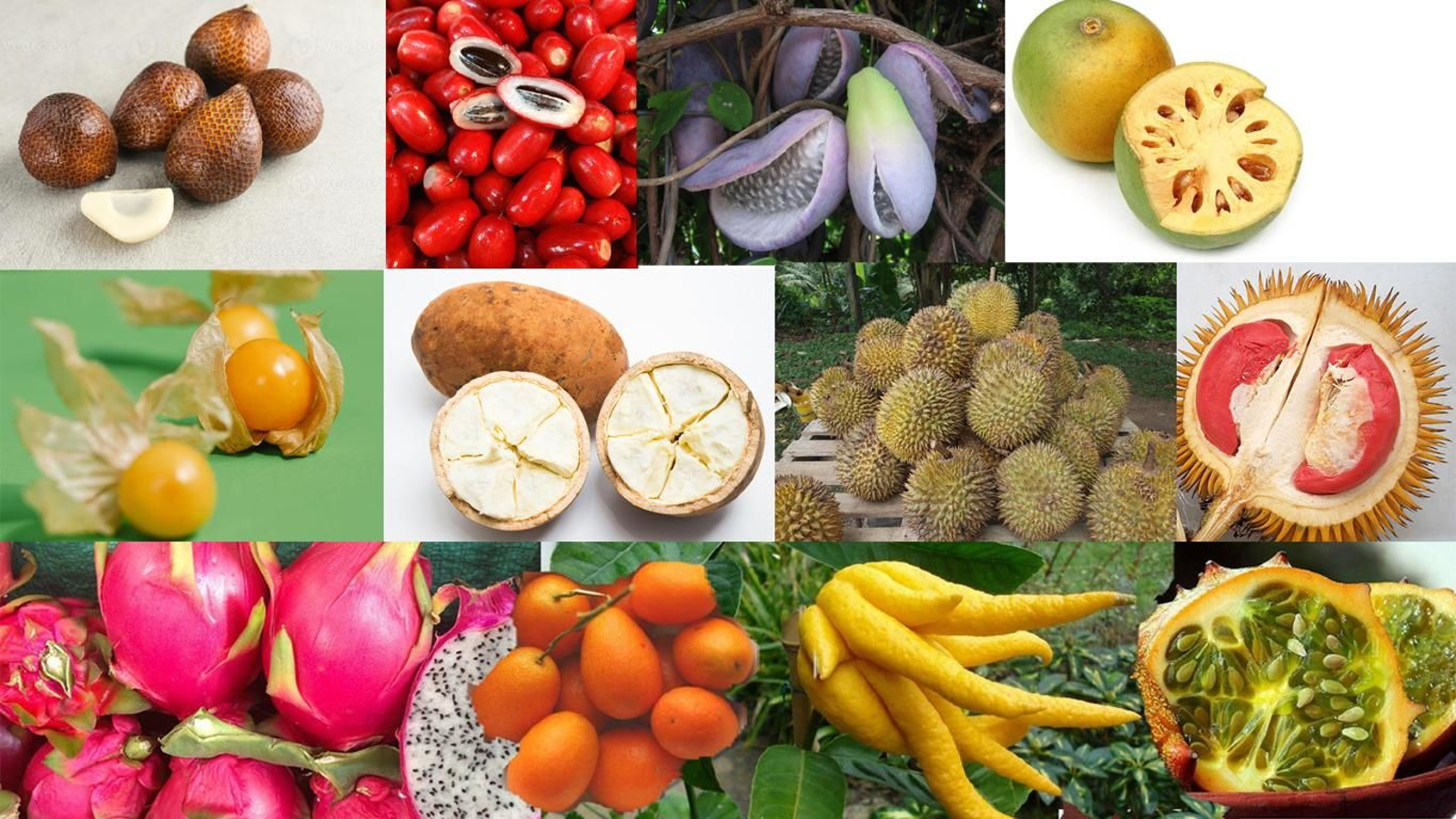 Descubre las frutas más curiosas que ni siquiera sabías que existían