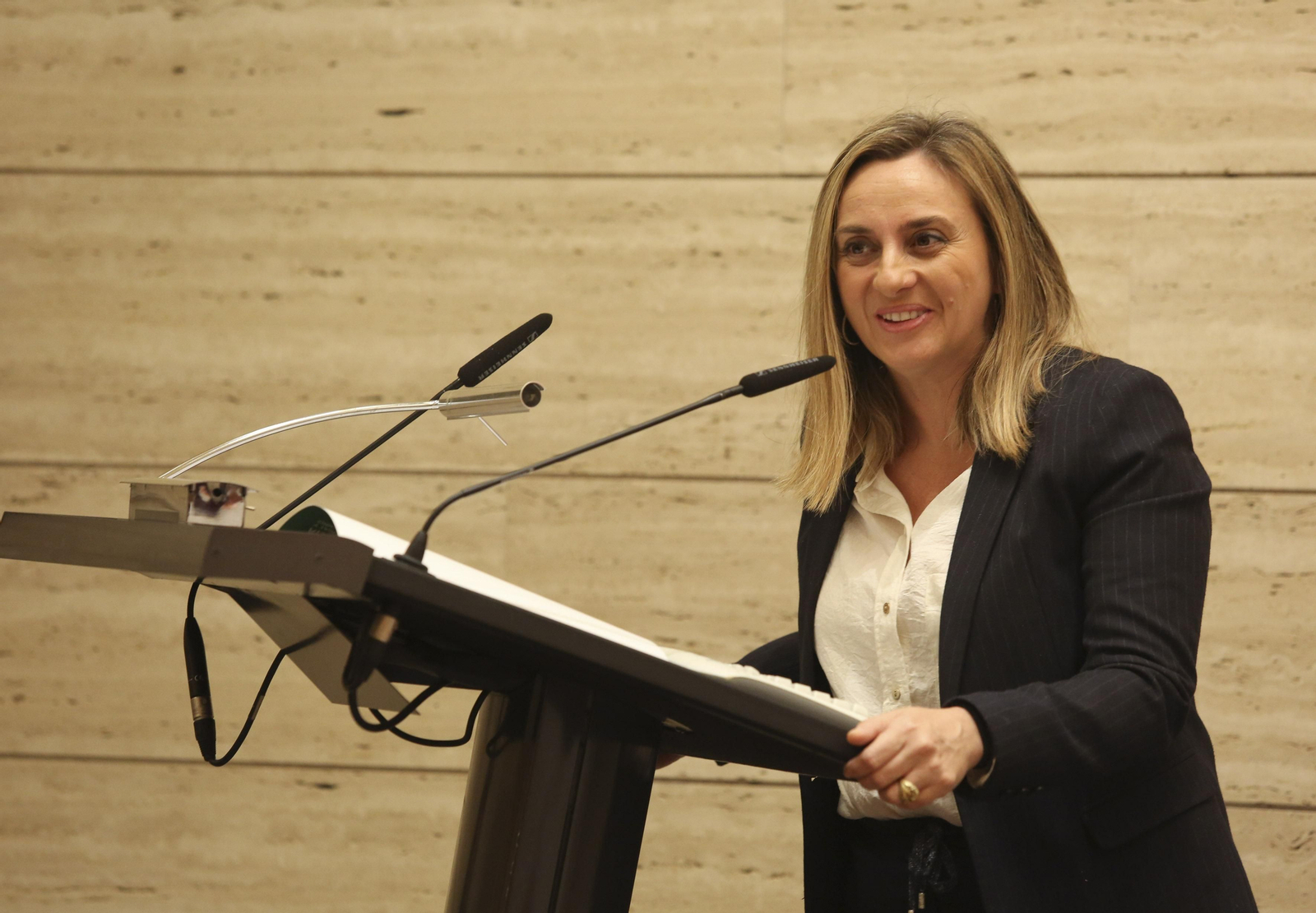 La Jornada 'Realidad y retos de las infraestructuras en Andalucía'