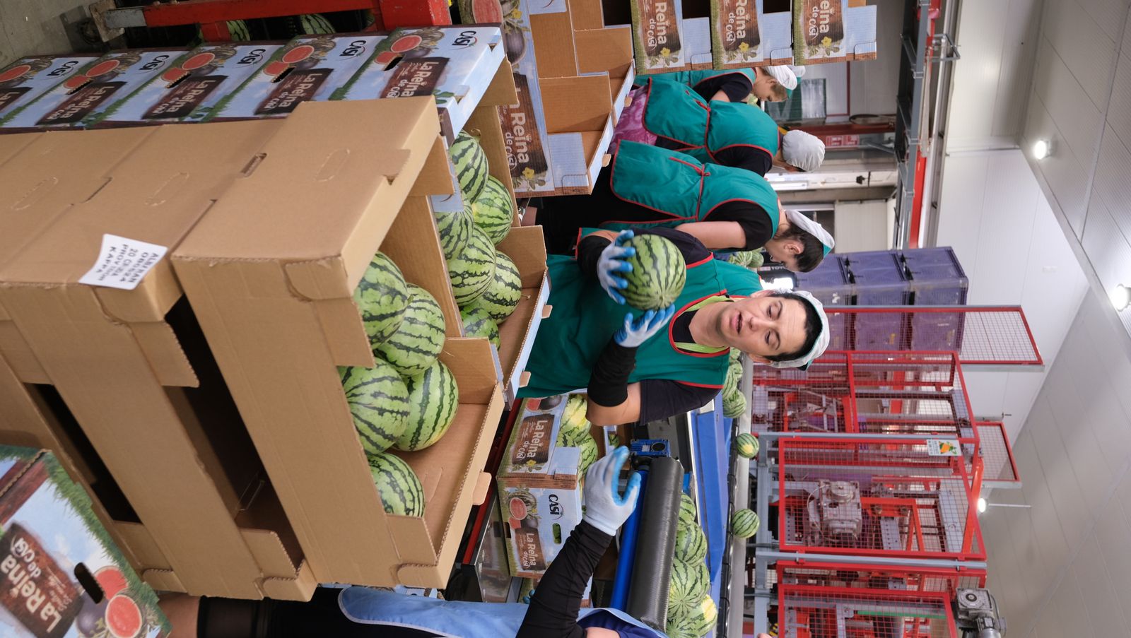 La IA llega a CASI, en imágenes