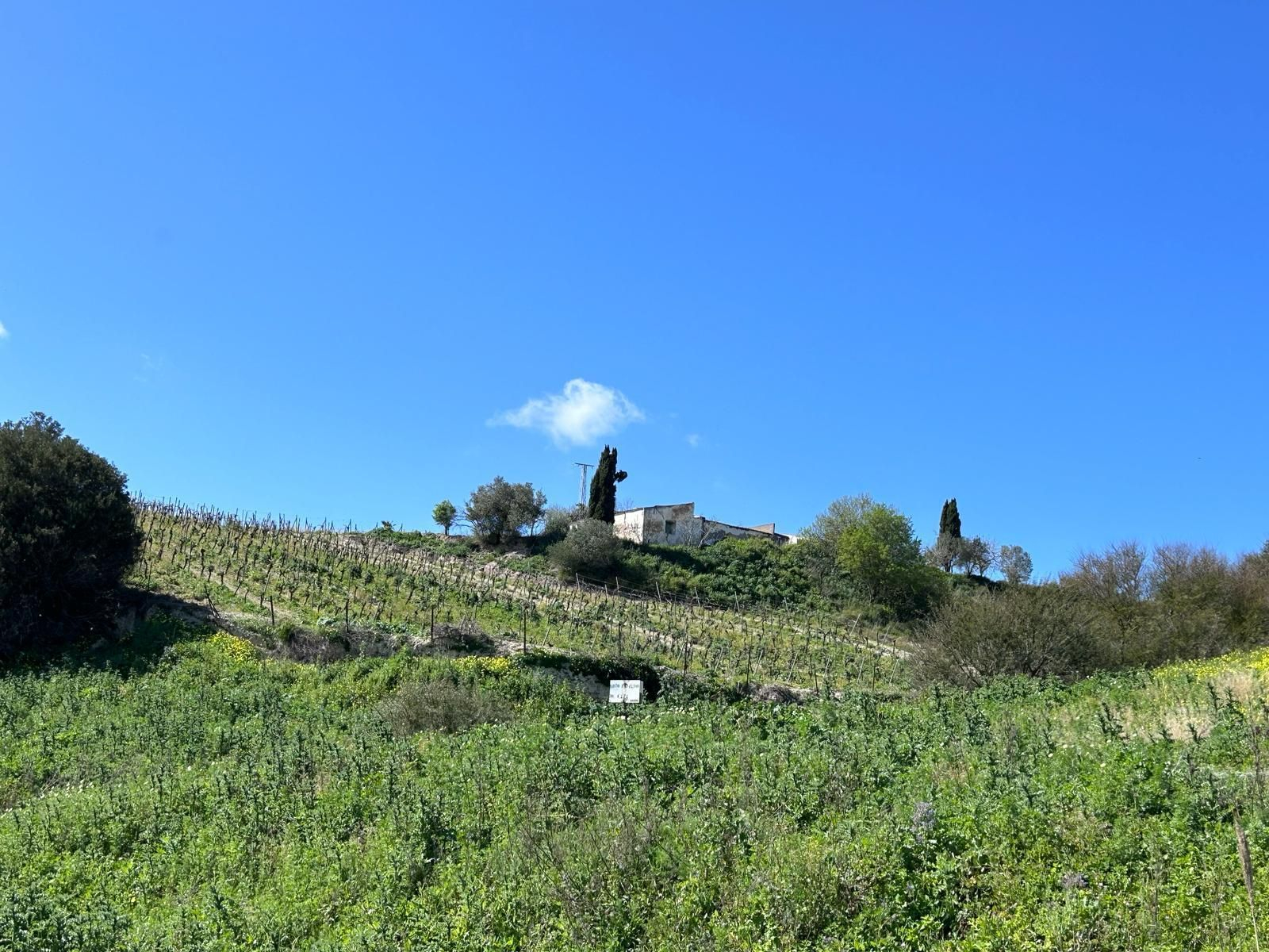 Sendero a las afueras de Jerez imperdible: una venta que da la bienvenida y culmina en una laguna