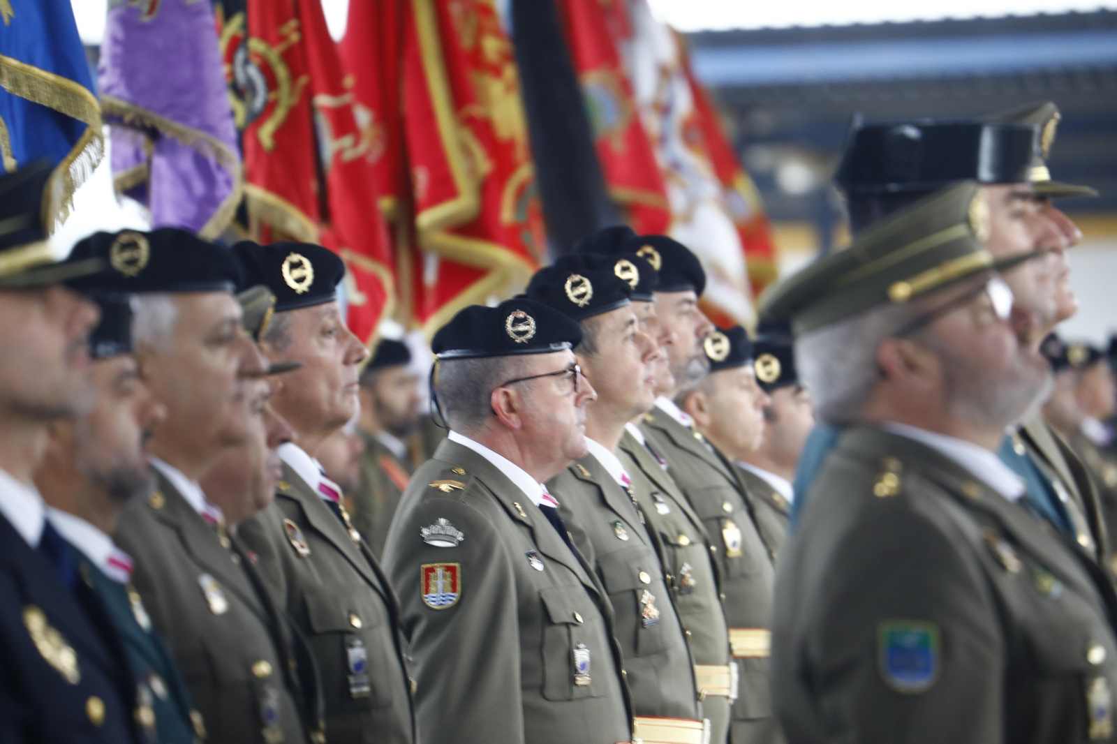 El desfile militar de la Brigada de Córdoba por la festividad de la Inmaculada, en imágenes El desfile militar de la Brigada de Córdoba por la festividad de la Inmaculada, en imágenes