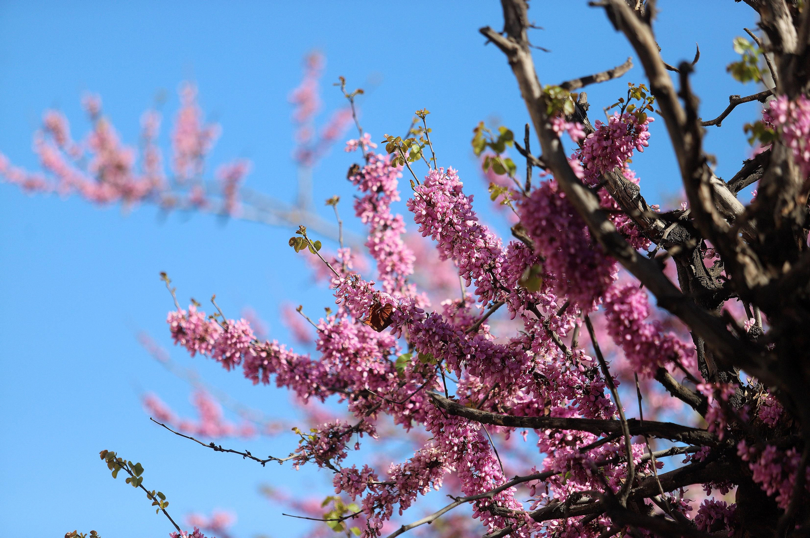 Barrio a Barrio: Imágenes de la Barriada de Los Dolores