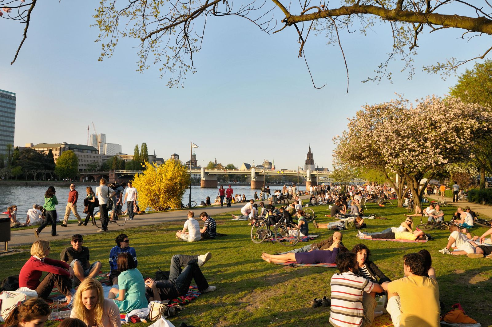 El parque Mainufer a la orilla del río Meno, uno de los atractivos de Fráncfurt.
