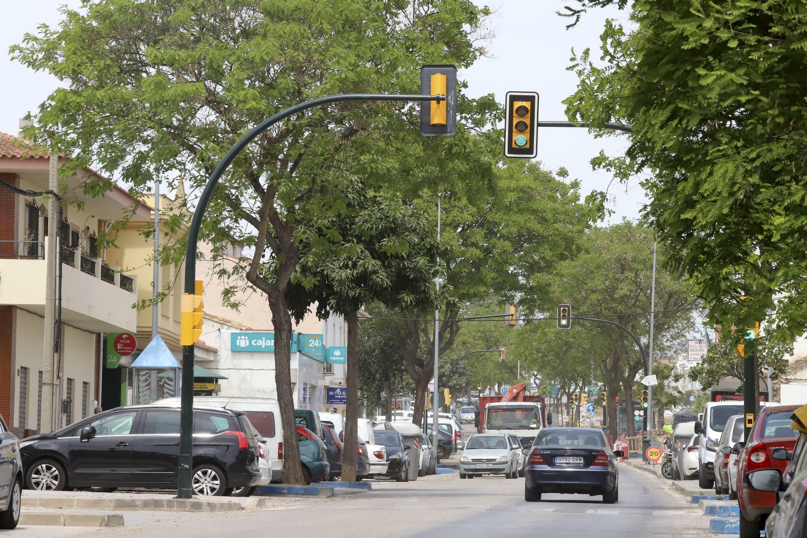 Campanillas en fotos