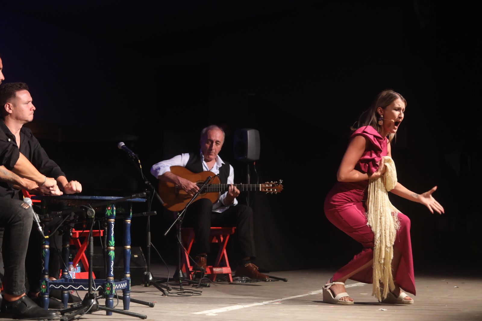 La noche flamenca en el Parque de San Fernando, en imágenes