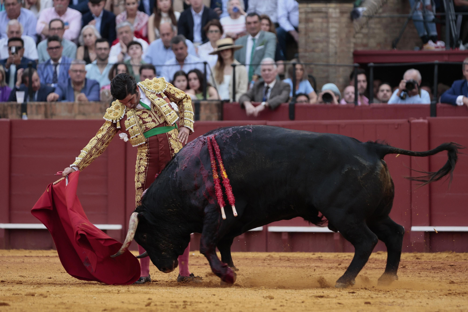 Las imágenes del festejo