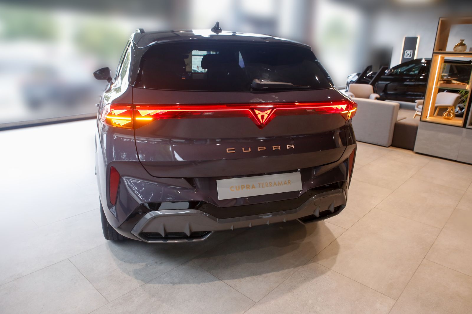 Parte posterior del coche.