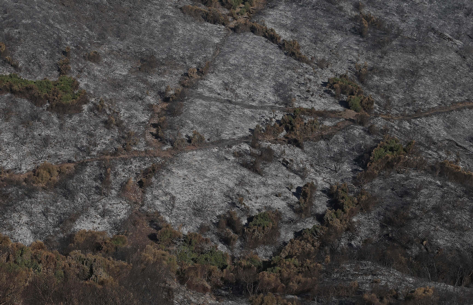El impacto del incendio forestal de Algeciras, en imágenes
