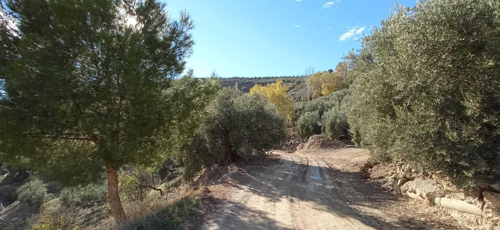 Las imágenes de la ruta del Bosque Encantado de Higueras