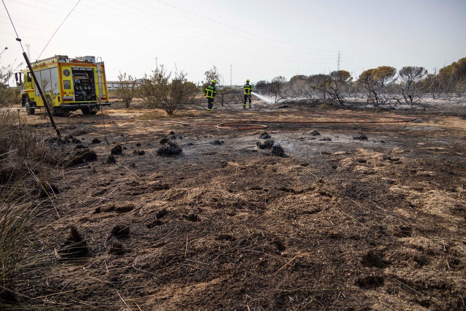 Imágenes del incendio en el Tiro Pichón