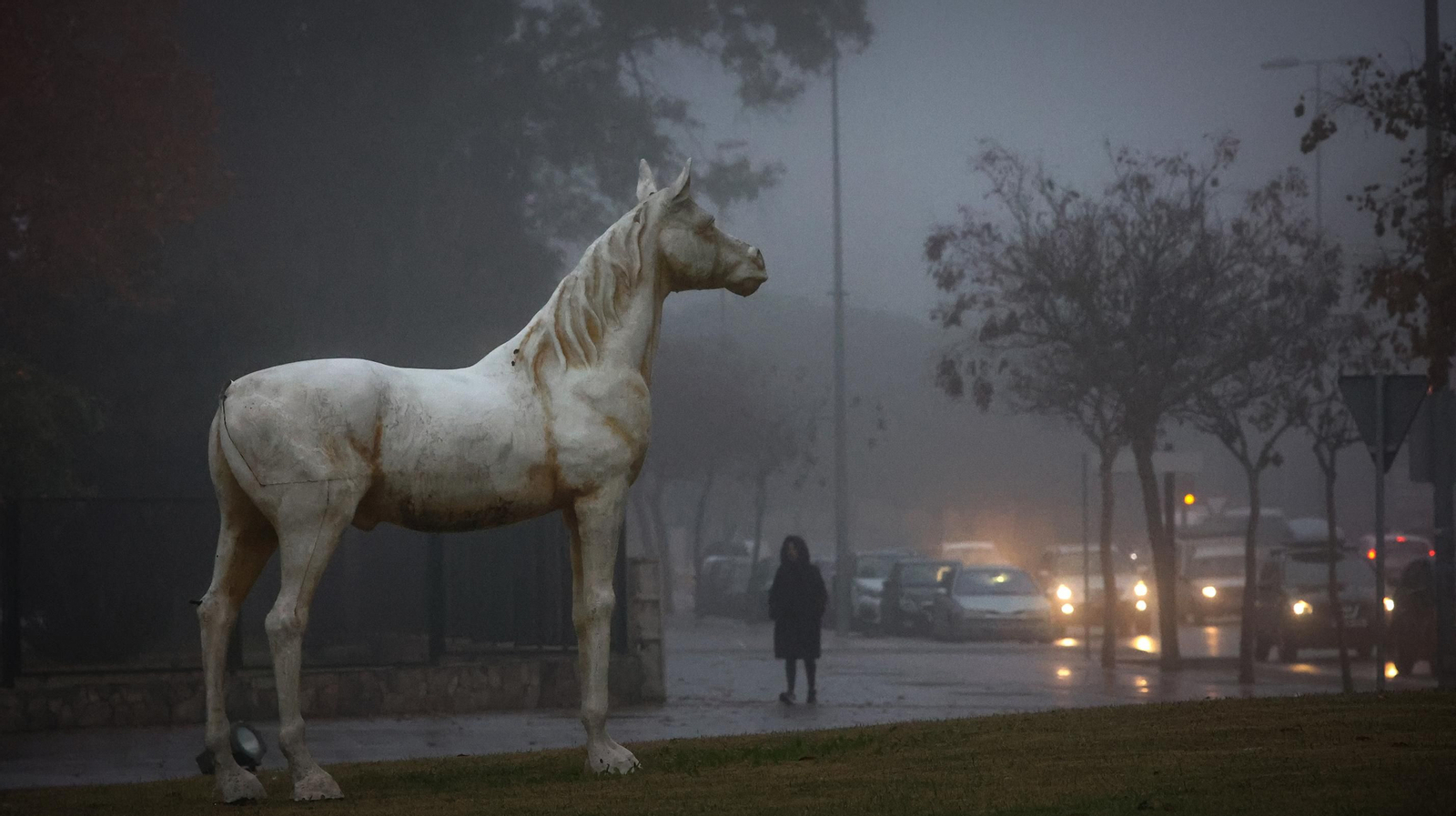 Densa niebla en Jerez