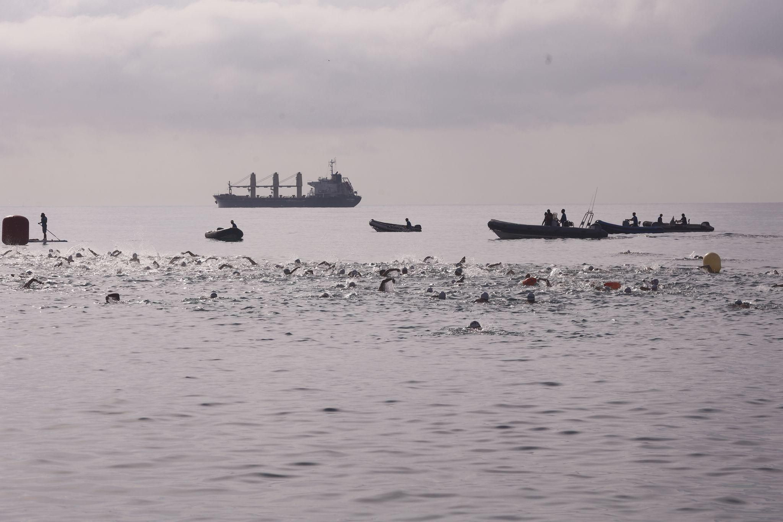 La Travesía a Nado Memorial Tomás García Zamudio de Málaga, en imágenes