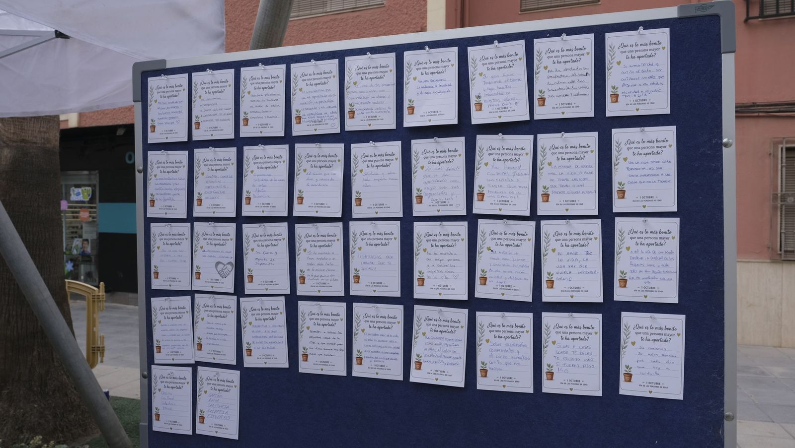 El Día de las Personas de Edad en Adra, organizado por el Ayuntamiento y Clece, en imágenes