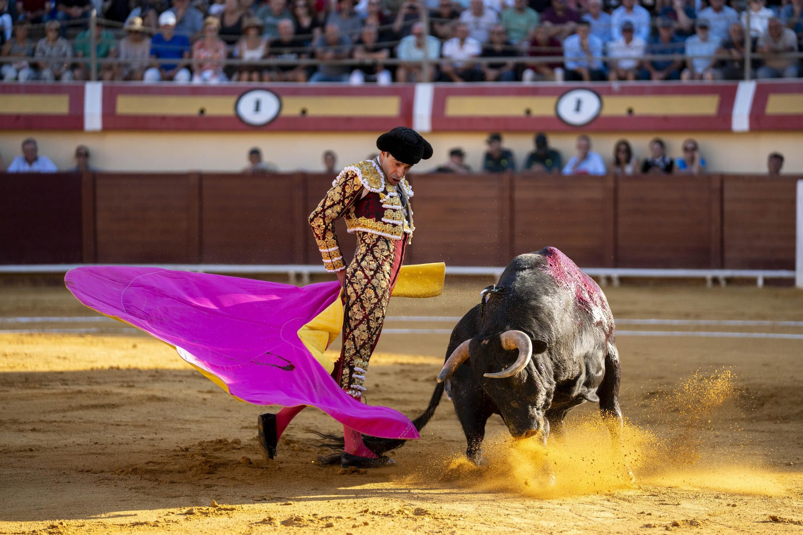 Las imágenes de los toros en Vera