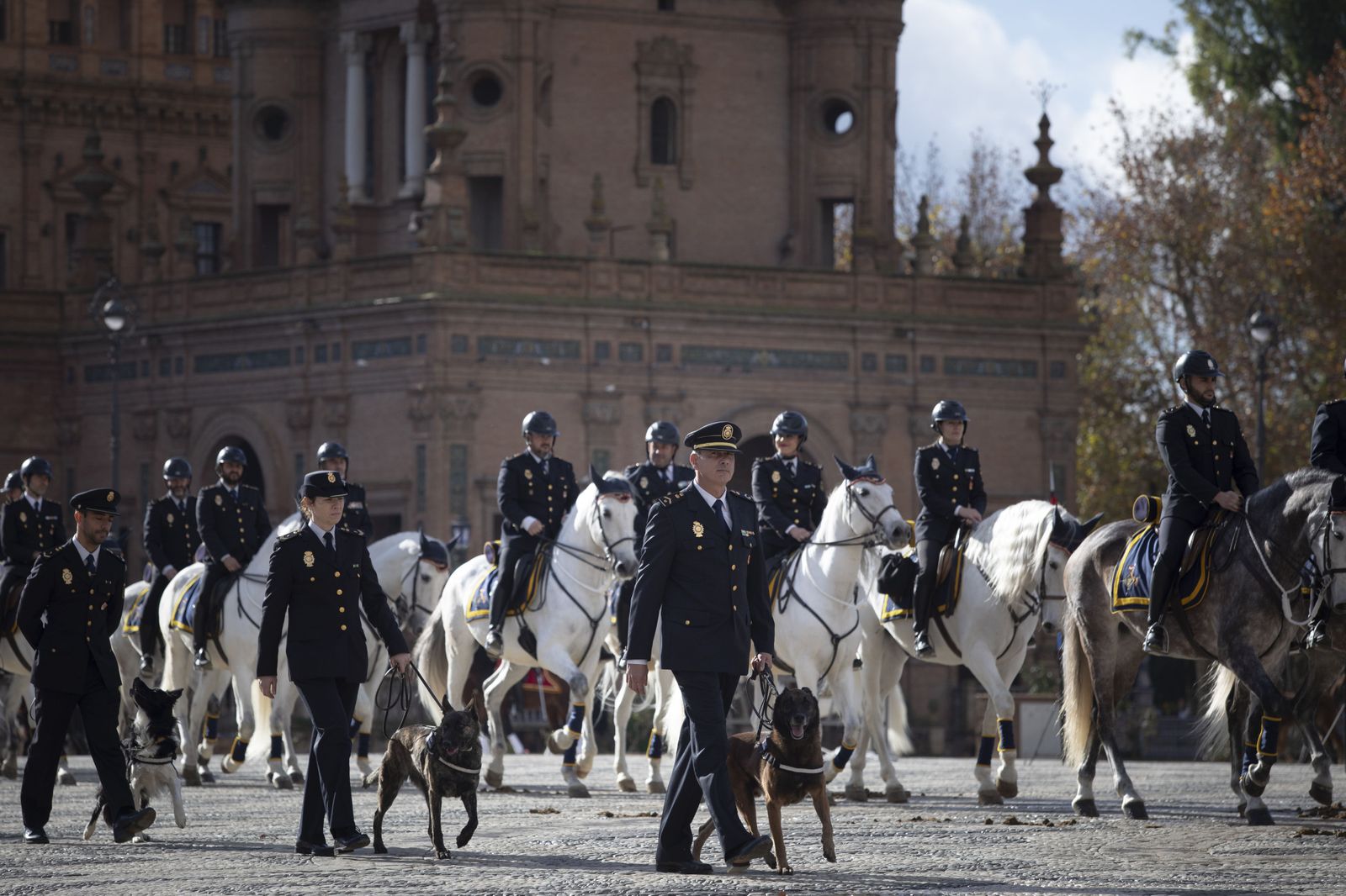 Policías en la plaza de España, en el día de San Antón de 2023.