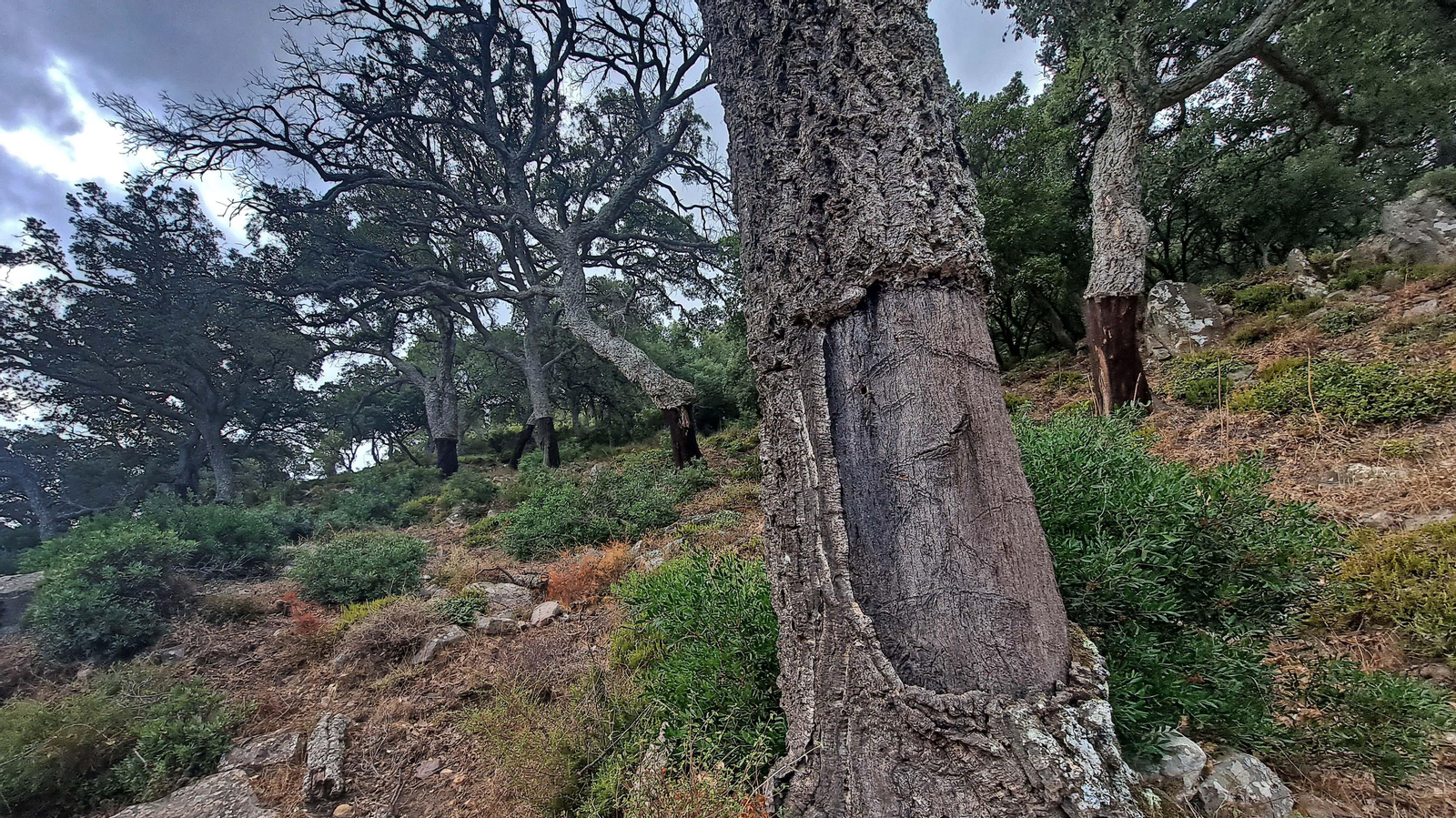Fotos del sendero de la garganta del Rayo en Tarifa