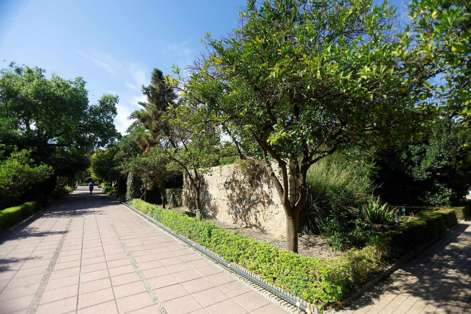 Un paseo en imágenes por el Real Jardín Botánico de Córdoba