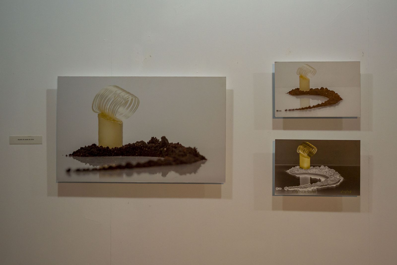 Inauguración de la exposición "El sabor de las Matemáticas".