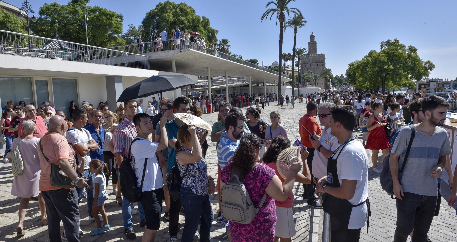 La barra de tapas más larga del mundo, en Sevilla
